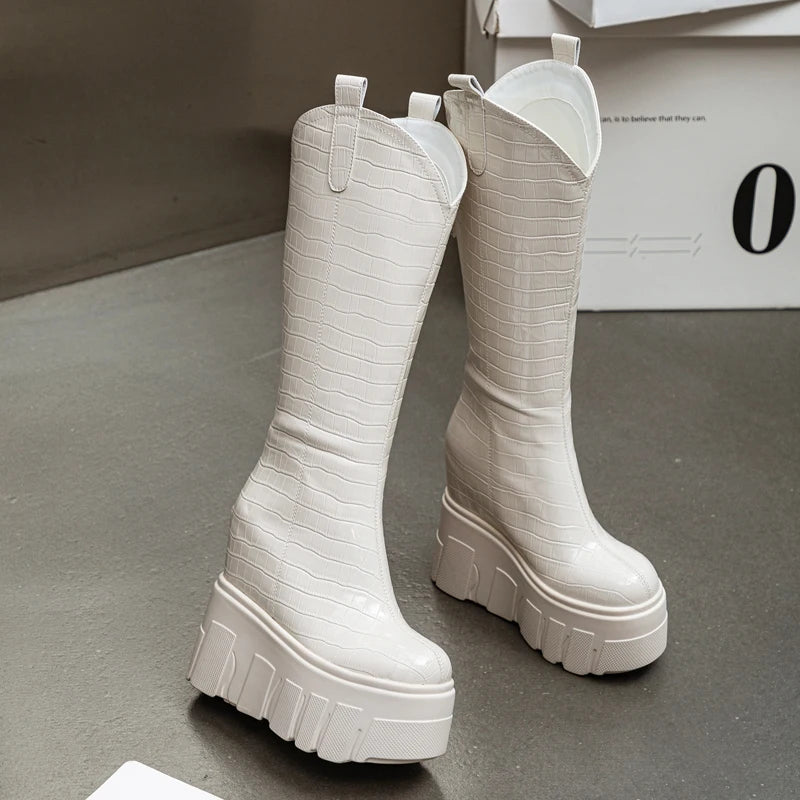 AUTUSPIN 13cm Increase Height Women Boots Fashion Sexy Black Long Boot Shoes Winter Warm Plush Super High Heels Platform Boots